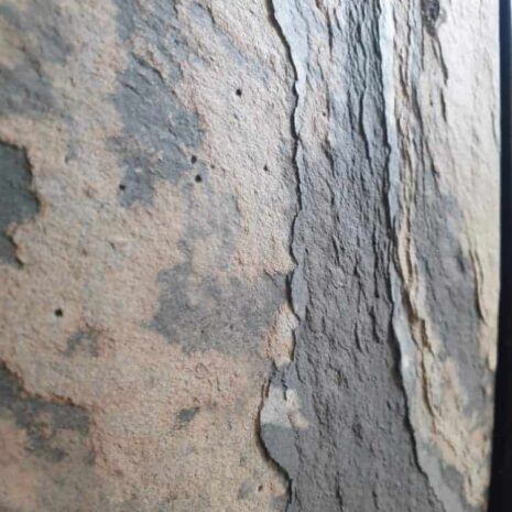 fornir-kamienny-autumn-rustic-graniteks-1 (1) fornir-kamienny-autumn-rustic-graniteks-1 (1)