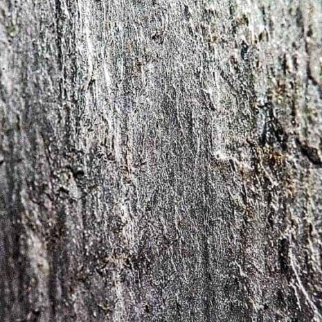 fornir-kamienny-ocean-black-120x60-graniteks-2 fornir-kamienny-ocean-black-120x60-graniteks-2