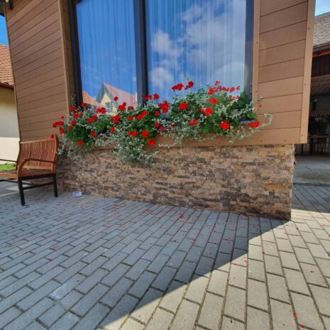 kamien-elewacyjny-biszkopt-15x60-graniteks-5 kamien-elewacyjny-biszkopt-15x60-graniteks-5