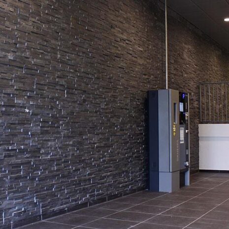 kamien-elewacyjny-castel-15x60-graniteks-3 kamien-elewacyjny-castel-15x60-graniteks-3