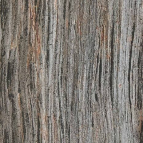 Fornir-Kamienny-Burning-Forest- (1 of 10) Fornir-Kamienny-Burning-Forest- (1 of 10)