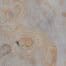 fornir-kamienny-seul-white-3