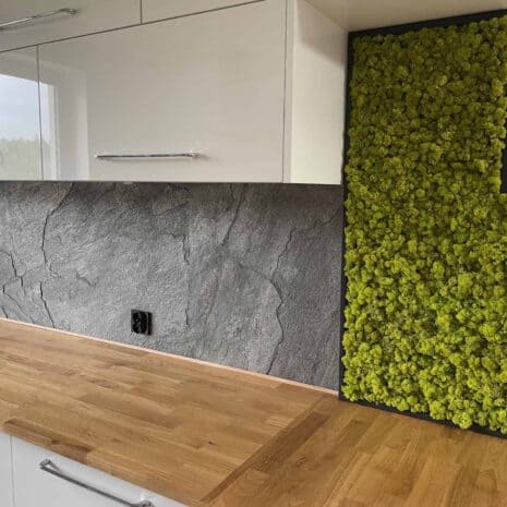 Kopia IMG_1381 Kopia IMG_1381