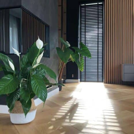 fornir-kamienny-line-black-a02 fornir-kamienny-line-black-a02