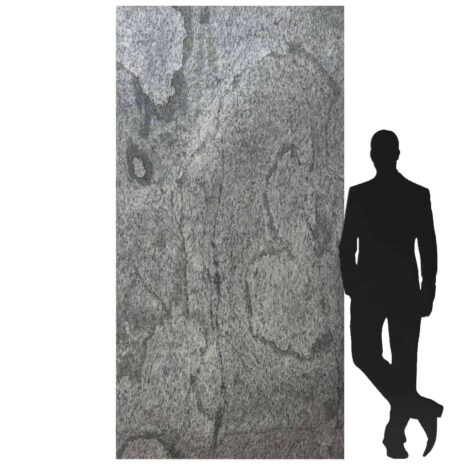 fornir-kamienny-silver-shine-1.-12x244-1