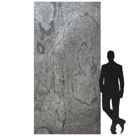 fornir-kamienny-silver-shine-1.-12x28-1