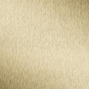 WPC-Basic-Gold-Disk-2