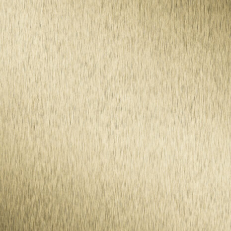 WPC-Basic-Gold-Disk-2 WPC-Basic-Gold-Disk-2