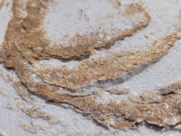 Dlaczego warto wybrać fornir kamienny