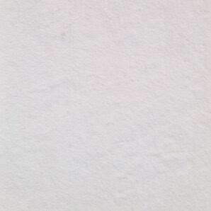 Fornir kamienny White Quartz 122x280x0,2 cm